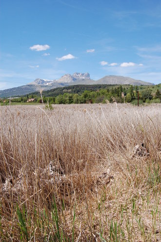la-freissinouse-13