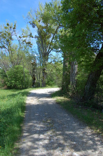 la-freissinouse-6