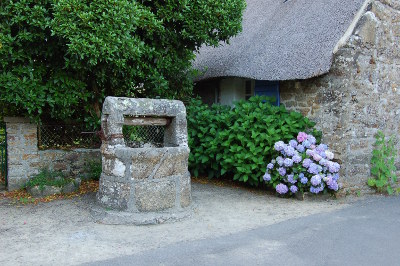 Le puits et les Rhododendrons