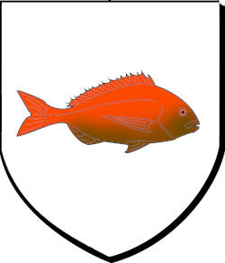 ENEZ TUDI