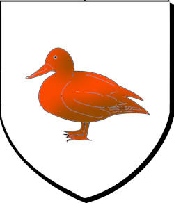 canard