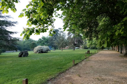 Balade dans le parc du château