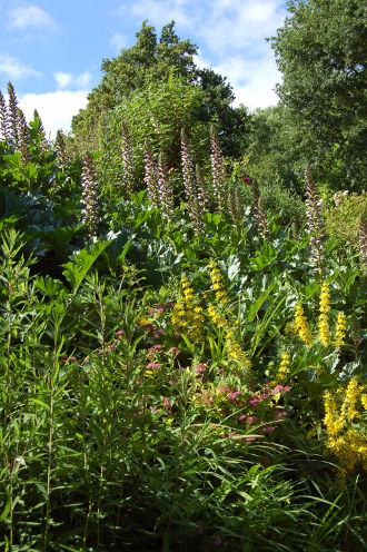 Dans les jardins de Quinipily