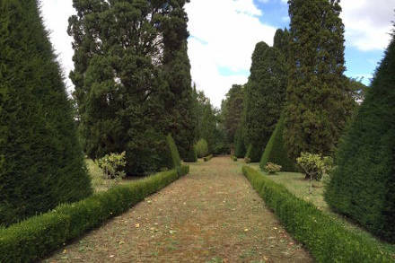 Balade dans le parc du château...