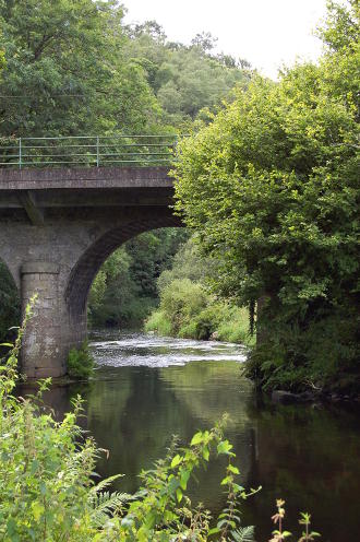 Sur les berges du Scorff