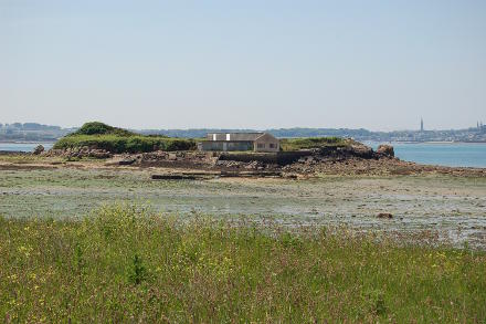 Balade sur l'île Callot