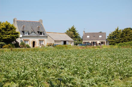 Balade sur l'île Callot