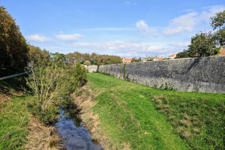 Balade près du Château