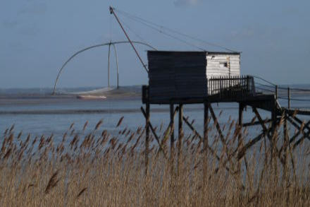 Si plaisants bords de Loire...