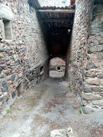 faucon-du-caire-12