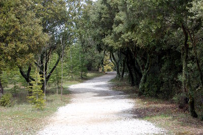 L'ancienne route menant au monastère.