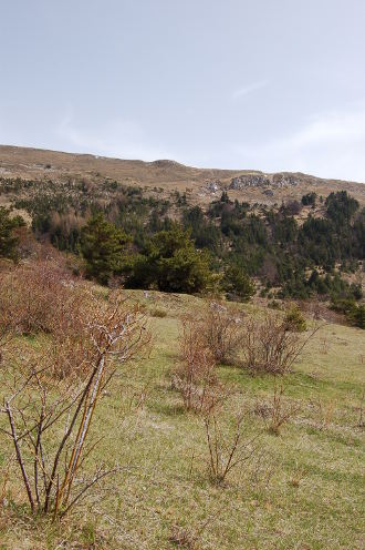 glandage-4