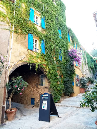 Façade et vignes vierges...