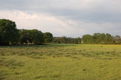 Balades en campagne