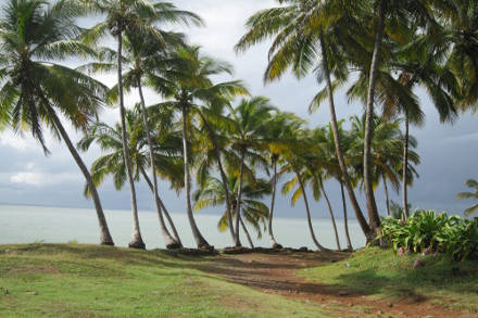 kourou-1