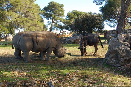 Balade au zoo...