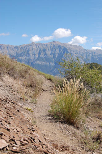 Balade par les chemins