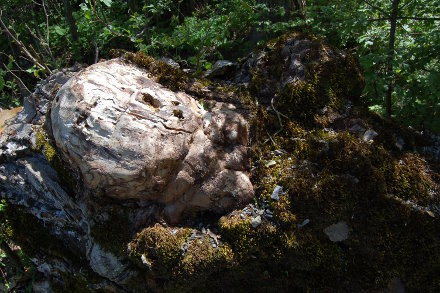 la-freissinouse-11