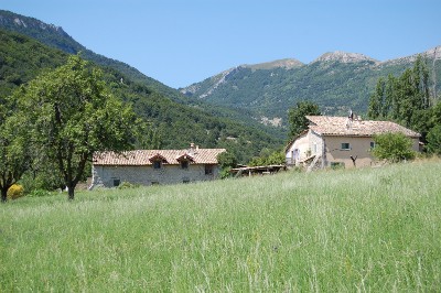 Ferme et champs de blés