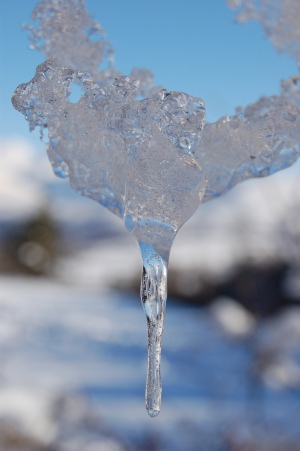 Hiver, glace et neige...