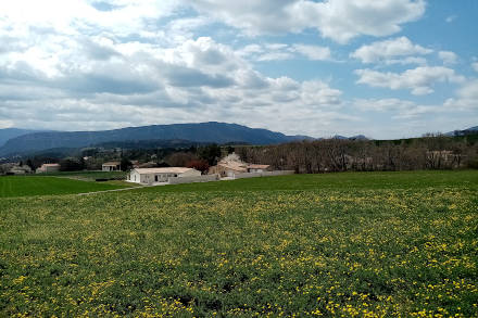 Bleu et vert à Lazer