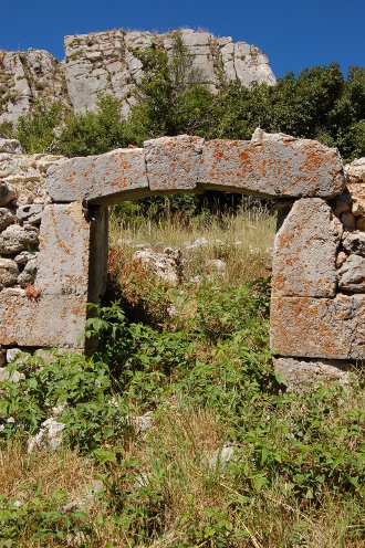le-poil-4