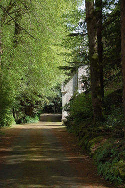 Promenade forestière