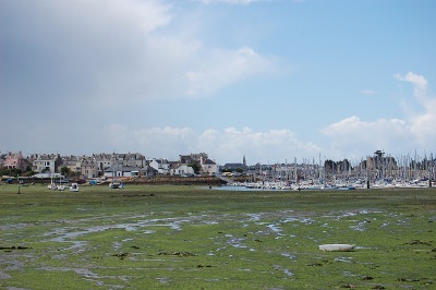 L'anse du <strong>Gélin</strong> à basse mer