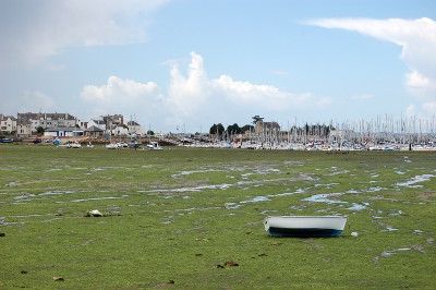 L'anse du <strong>Gélin</strong> à marée basse