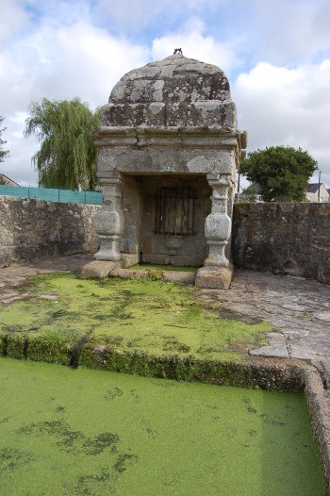 merlevenez-3