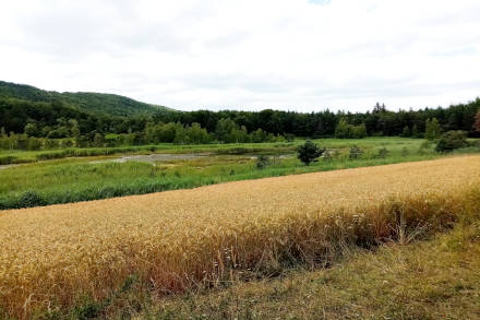 Le lac de Saint Léger