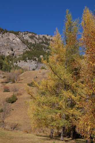 L'automne est là...