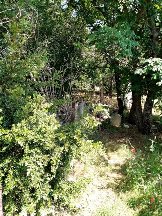 L'ancien cimetière du Noyers