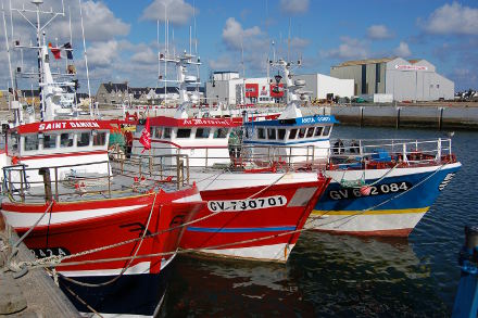 Le port de <strong>Penmarc'h</strong>