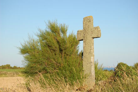 Croix bretonne et tamaris...