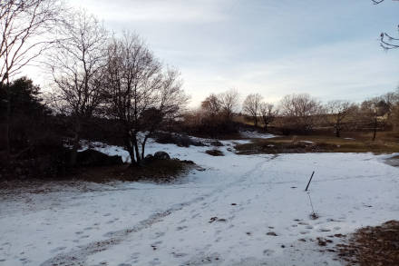 Temps de neige à Pontis