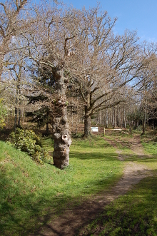 promenade le long du Scorff