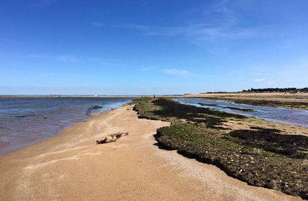 saint-denis-oleron-1