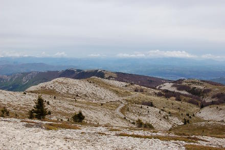 Sur la <strong>Montagne de Lure</strong>