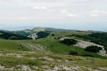 Près du Signal de Lure