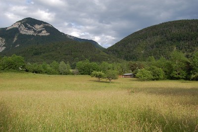 Prairie, forêt et montagnes...