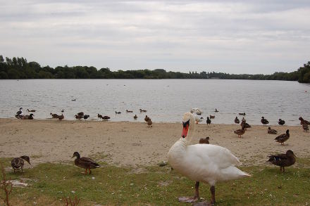 Le <strong>lac de Ty-Colo</strong> sous un ciel de plomb