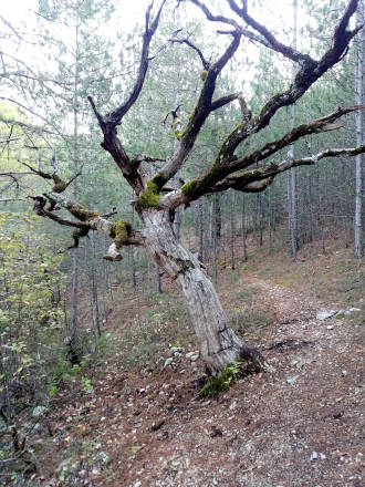 Sur le sentier <i>Land Art</i>