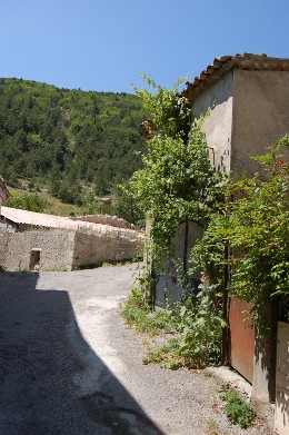 Ombre, verdure et soleil