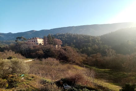 Château et contre-jour