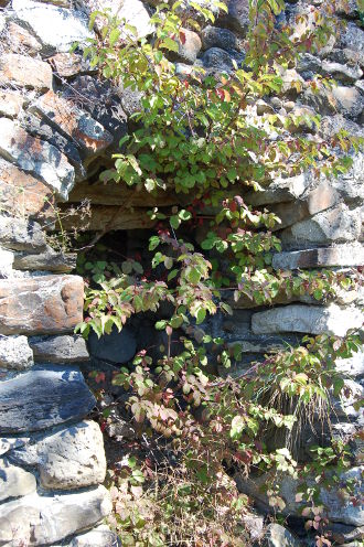 Ruines de château...