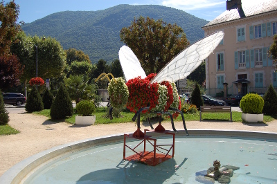 Sacré grosse mouche...