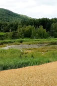 Le lac de de Saint Léger